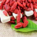 2017 nouveau produit séché Goji Berry Goji fruits